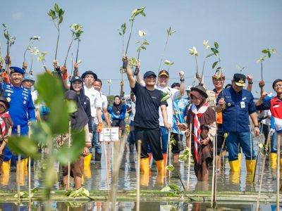 WhatsApp Image 2025-07-15 at 16.54.33