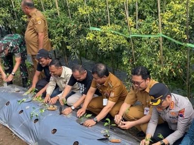 WhatsApp Image 2025-09-23 at 08.40.09